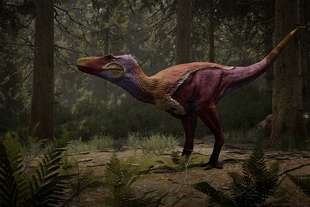 Alioramus