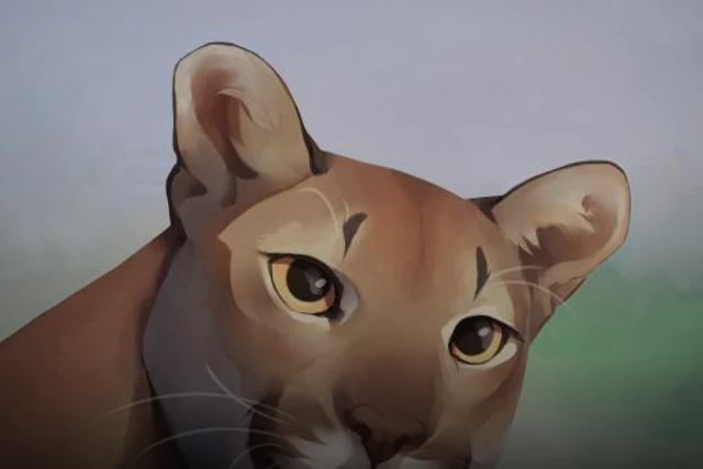 Asylum Felinae