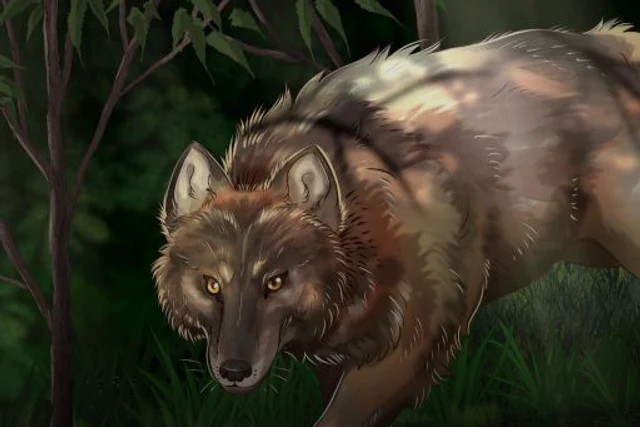 Asylum Wolf