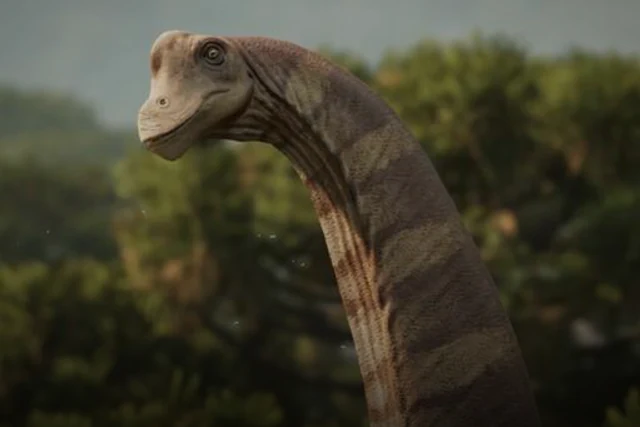 Brachiosaurus dinosauria