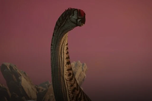Camarasaurus