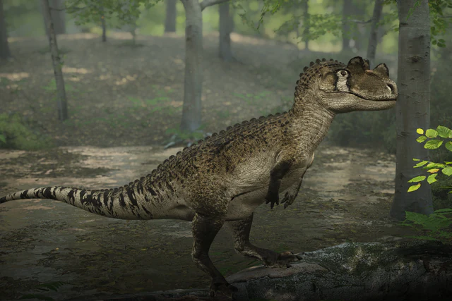 Ceratosaurus