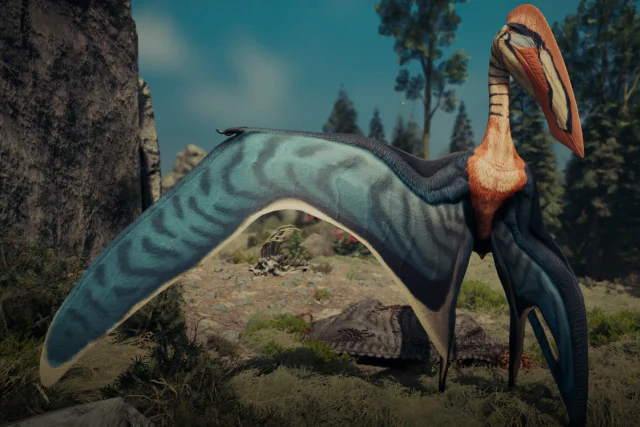 Hatzegopteryx