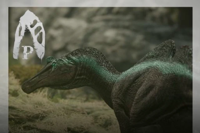 Ichtyovenator