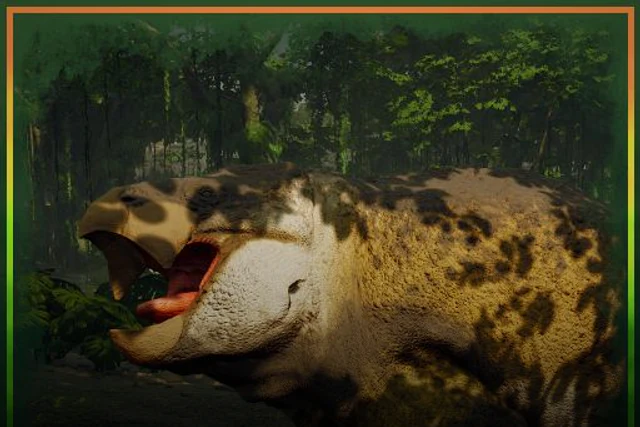 Lisowicia