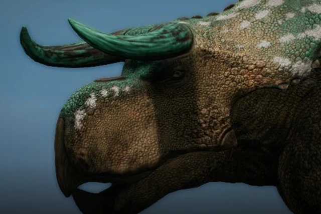 Nasutoceratops