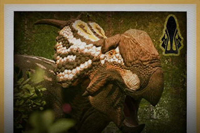 Pachyrhinosaurus KTO