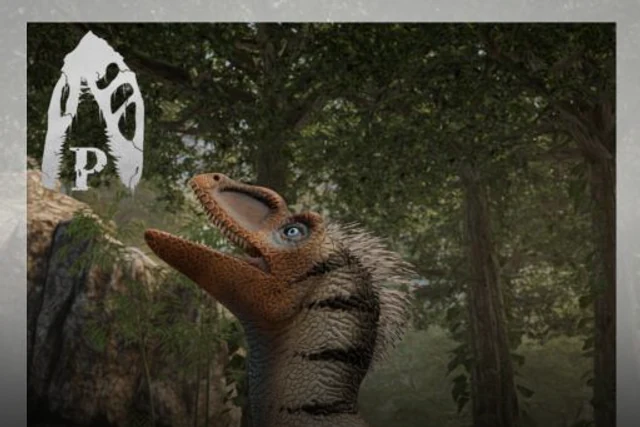 Pandoraptor