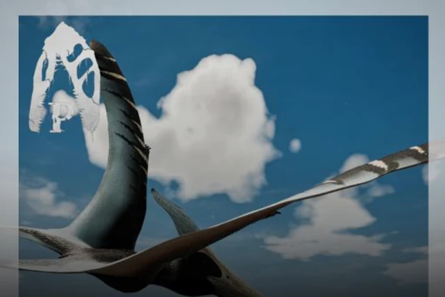 Pteranodon